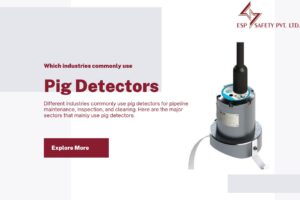 industries commonly use pig detector